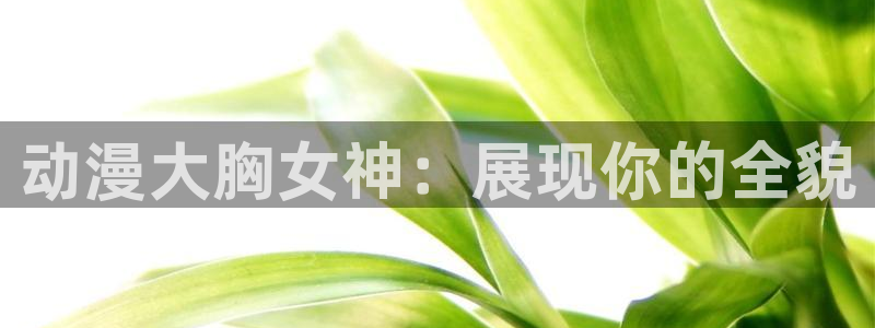 行业资讯